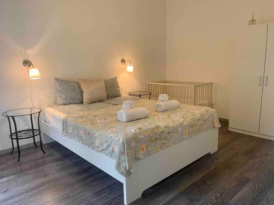 Knezits Spacious Ac Terrace Free Parking Budapest Exterior foto