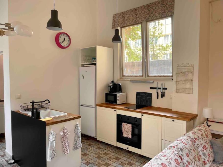 Knezits Spacious Ac Terrace Free Parking Budapest Exterior foto